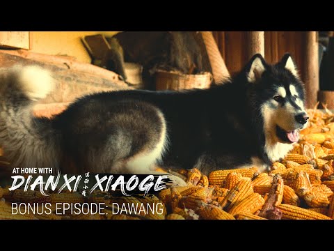ボーナス：ディアンシー・シャオゲのドッグ・ダワンのストーリー (Bonus: The Story Behind Dianxi Xiaoge’s Dog—Dawang)
