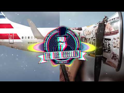 Phace & Mefjus - Ruhestörung