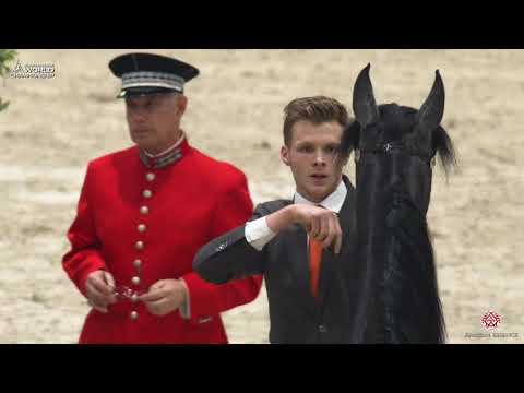 N 101 MAHASIN DE CARTHEREY   Paris 2019   Yearling Colts Class 4B