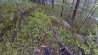 preview picture of video 'Orienteering in Norway - KM stafett 2014 i Bø (relay)'