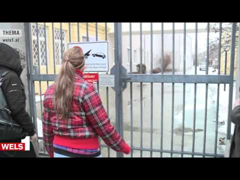 Wels 1 Thema Spezial - Jugenamt gibt Jonas zurück