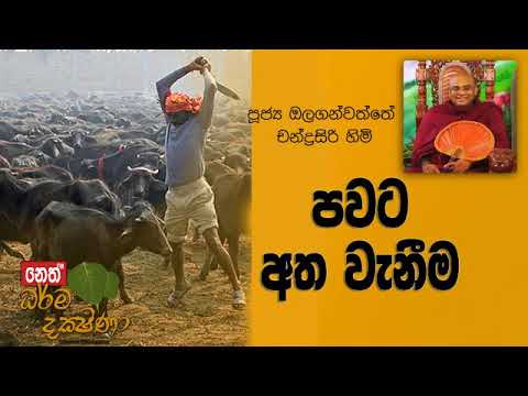 Darma Dakshina 2019.06.03 - Olaganwatthe Chandrasiri Himi