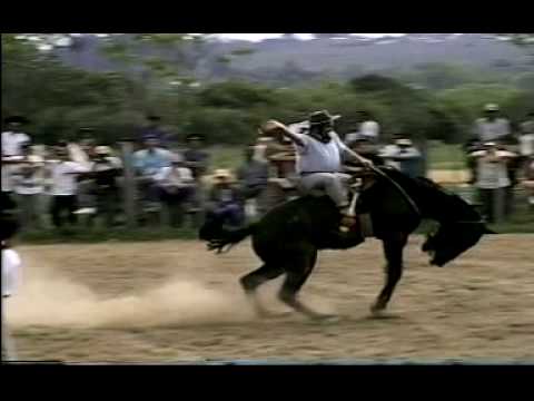 Ginetiadas -As Melhores ginetiadas Gaucha Brazil