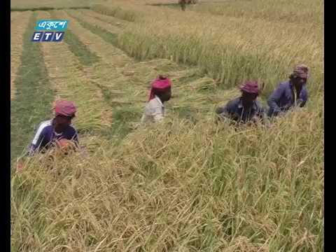 বাজেটে কৃষিখাতকে লাভজনক করার পরিকল্পনা