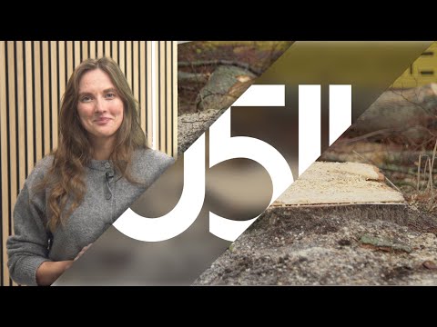 Baumfällung in Arnum und 20 Jahre Kinder- und Jugendtelefon - 0511 vom 05.12.2025