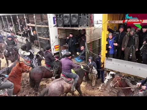 TOSHKENT BOʻSTONLIQ MUSTANG MAYDONI 17.01.2026-Y