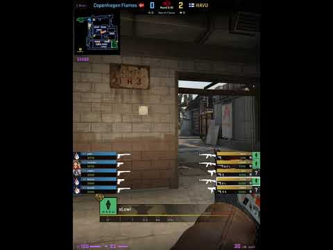 ACE. sLowi (HAVU) vs Copenhagen Flames. m2 train. Pinnacle Cup 2021