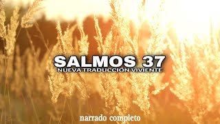 SALMOS 37 (narrado completo)NTV @reflexconvicentearcilalope5407 #biblia #salmos #cortos #parati