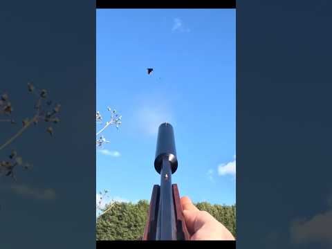 "Crow Hunting Masterclass: Best Shots Captured on Camera!" #crowhunting #crow #pigeonhunting #hunt