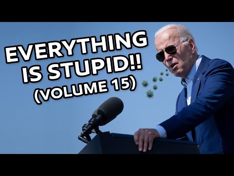 EVERYTHING IS STUPID!! (VOLUME 15)