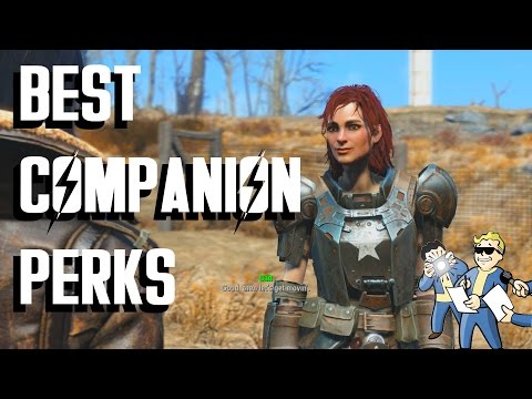 Fallout 4 - Best Companion Perks