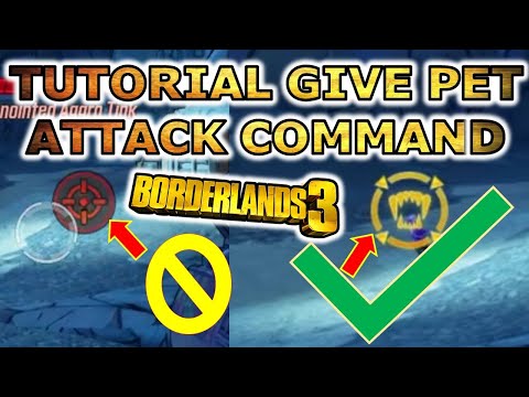 Borderlands 3 Tutorial How To Issue Attack Command FL4K Pet | Beginner Tips For FL4K Players BL3