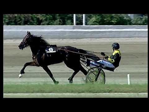 Napoli Trotto 14/05/2021 - 5ª corsa