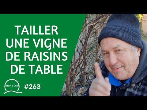 , title : '#263-Tailler une vigne de raisins de table 🍇'