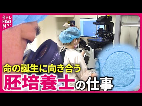 園芸 体外培養技術