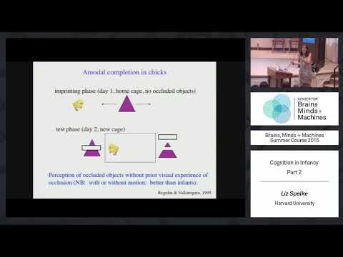Lecture 3.2: Cognition in Infancy, Part 2