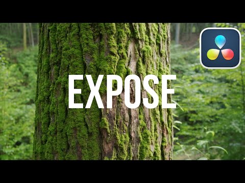 How Professionals Get Perfect Exposure in DaVinci Resolve - Day 3