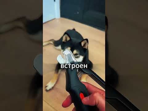 Когтерезка С Фонариком Для Собак 🐶
