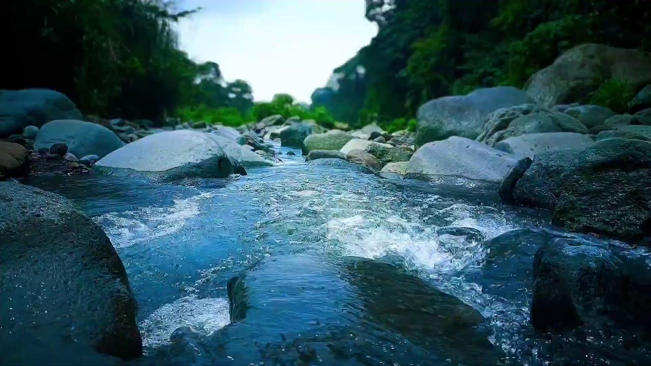 🍂 Natural River Ambience for Focus & Study | Relaxing Sounds, Deep Sleep, Calm Mind