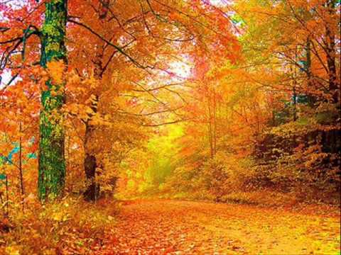 Icone Meets Static Blue - The Fall (Matti Kotala Remix)