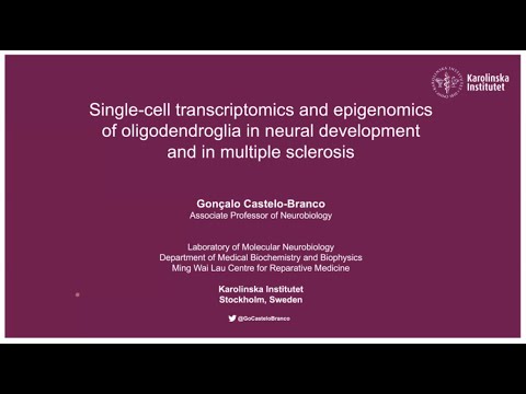 Recent Advances in scEpigenomics 2021 - Gonçalo Castelo-Branco (Karolinska Institutet, Stockholm)