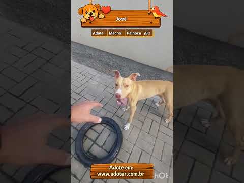 Vídeo de José