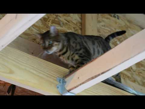 Keisha is being a little over dramatic.