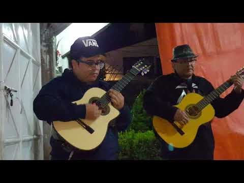 Tardes De Bohemia/Trío - Motivo y Razón