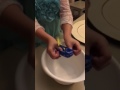 Dory Squish Toy