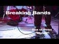 Sea of Bees - "Wizbot" (Live) - Breaking Bands ...