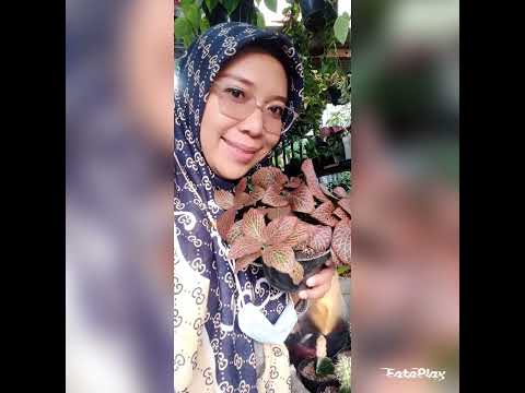 Koleksi Bunga By Nirwana Rifana