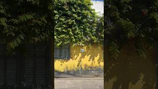 ダナン｜日常｜子どもたちとすごすダナンの日々