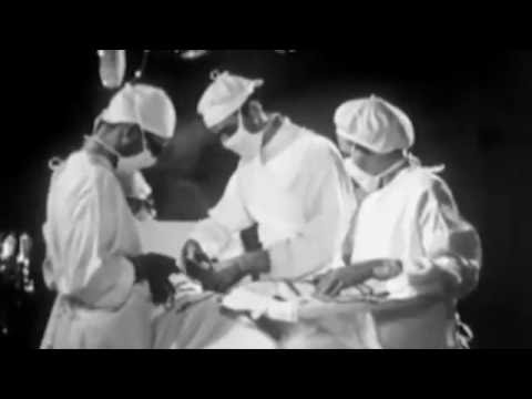 Lumpy and the Dumpers - Pee in the Pool