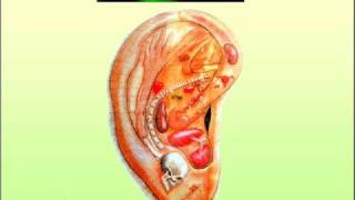 CURSO DE AURICULOTERAPIA