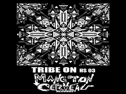 Disakortex - Step The Rythm (Tribe On Hs 03) MTC Records