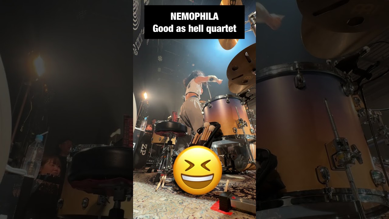 NEMOPHILA GOZO tour Drum cam #music #nemophila #drummer