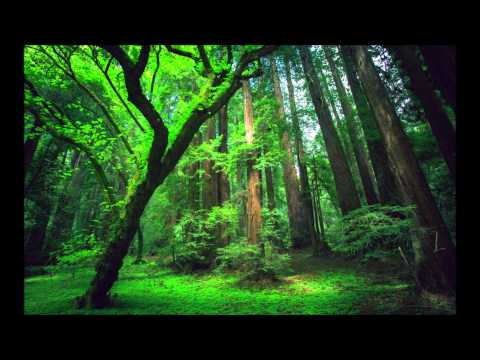 Motorcycle Vs Midway - As The Amazon Rush Comes (Armin Van Buuren Bootleg Mix)