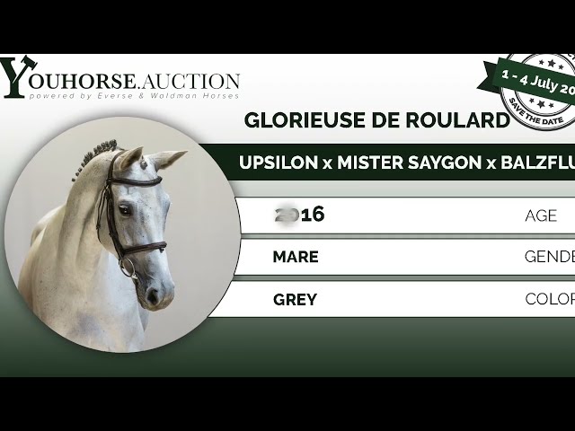 Glorieuse @ show