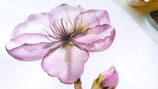 How to Paint Transparent Cherry Blossom (Sakura) Flower in Watercolor