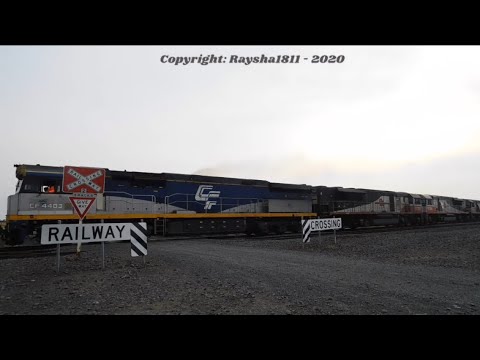 CF4403-SCT011-SCT006-SCT004 - Gheringhap