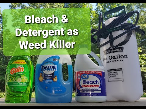 image-Can household bleach be used as a weed killer?