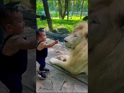 Me At The Zoo | Bilall Cooking