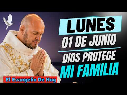 HOMILÍA DE HOY | A VECES DIOS DETIENE SITUACIONES PARA PROTEGER TU FAMILIA | PADRE FREDDY BUSTAMANTE