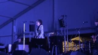 Beale Street Music Fest 2017 - Peter Wolf "Wastin Time"