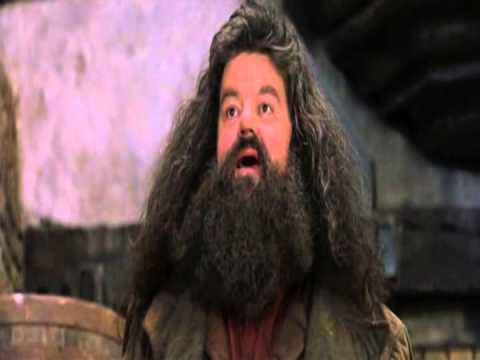 Tillsammans Harry, kan vi få dem tillbaka!