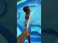 Son That Doesn T Want To Get Out Of Pool Learns Lesson Shorts