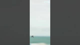 Download lagu Kanna Veesi Kanna Veesi | Kadhal ondru kanden | Ashwin Kumar | Nakshatra Nagesh | 1080p mp3 Download lagu Kanna Veesi Kanna Veesi | Kadhal ondru kanden | Ashwin Kumar | Nakshatra Nagesh | 1080p mp3