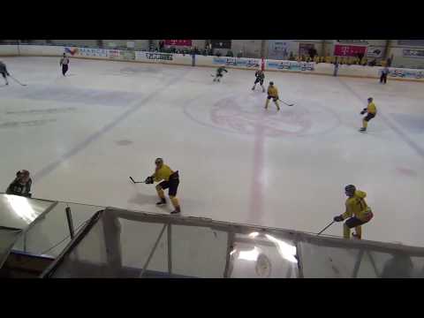 EL 271 - FTC-Telekom - EV Vienna Capitals II 2-0 20190228
