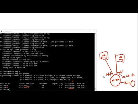 174. Creating a Network Diagram using CDP and LLDP