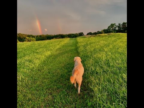I Take My Chances - Mary Chapin Carpenter